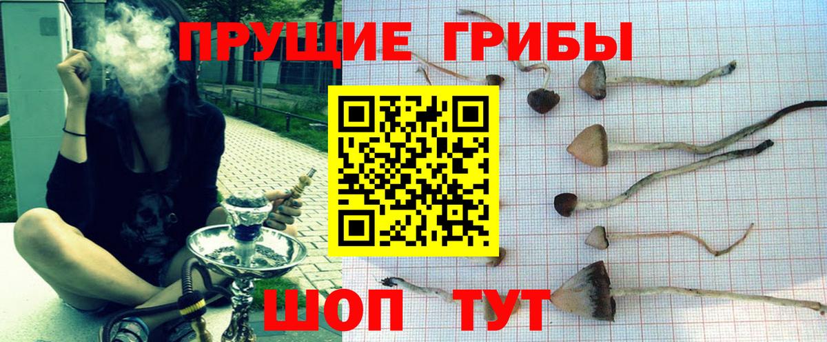 Псилоцибиновые грибы MAGIC MUSHROOMS  Вход с VPN  Североморск  Псилоцибиновые грибы Psilocybe 